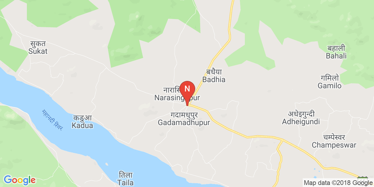 Narsinghpur map