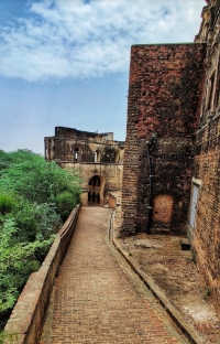 Bhadawar Fort