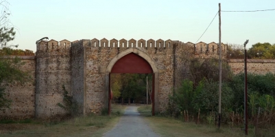 Bhadri Fort (Bhadri)