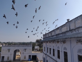 Jiliya Fort Palace