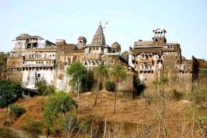 Raghogarh Fort (Raghogarh)