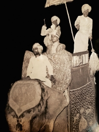 Thakur Saheb Raj Rajeshwar Shri Jayendra Singh Bamroli (Bamroli)