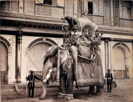 Maharawal Indrasinhji atop the State Elephant (Bansda)