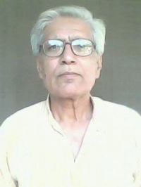 Rao Madhusudan Singh (Barauli Rao)