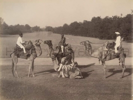 A rare and old photo of Camels at Baroda, were used before Railways, these group of Camels with their riders belonged to Sayajirao Gaekwad III (Baroda)