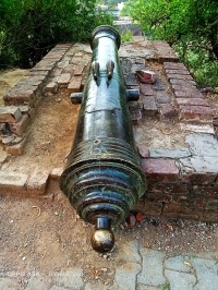 Cannon at Bhadawar Fort