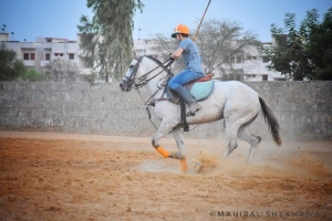 Bhanwar Gaj Singh Dalniya (Dalniya)