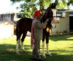 Kunwar Bhawani Singh Sahib of Dalniya (Dalniya)