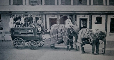 Elephant Coach at the Rajwada (Old Palace), Dhar (Dhar)