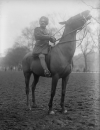 Lieutenant-General Pratap Singh Sahib Bahadur (Idar)