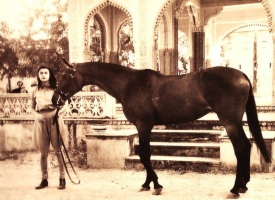 Maharani Gayatri Devi (Jaipur)