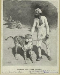 Cheetah and his keeper