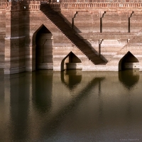 Balsamand Lake Palace, Jodhpur (Jodhpur)