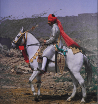 Maharaja Gaj Singh II