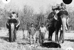 Kunwar Brijendra Pal Of Karauli with HH Maharajah Brijraj Singh of Kota on a hunt (Karauli)