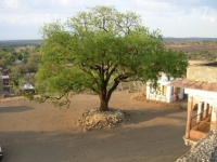 View from the Kila (Kila Amargharh)