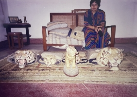 Maharaj Kumari Truptidevi sitting at Ramanuj Vilas Palace (Korea)