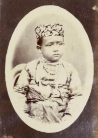 Raja Vijay Bahadur Narayan Singh (Rehwa)