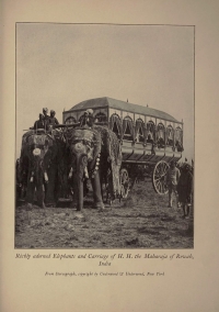 Elephant Carriage of Maharaja Rewah