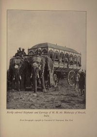 Elephant Carriage of Maharaja Rewah