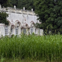 Shahpura Bagh, Shahpura, Rajasthan (Shahpura)