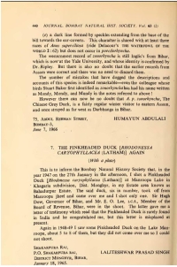 1965 Article in Bombay Natural History Soceity by Raja Laliteshwar Prasad Singh on Shooting Pink Headed Duck (Rhodonessa Caryophyllacea) Latham