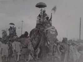 H.H Maharaja Ramanuj Saran Singh Deo Of Surguja on elephant during celebration (Surguja)
