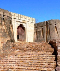 Chittorgarh Fort