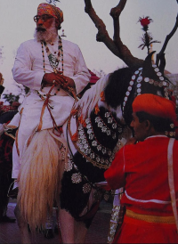 Shriji Arvind Singh Mewar