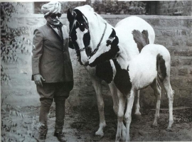 Raja Bhupat Singh ji of Umaid Nagar (Umaid Nagar)