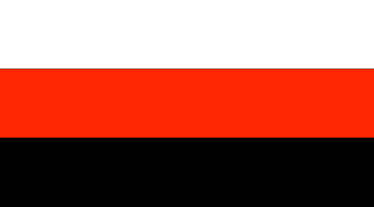 Palitana (Princely State) flag