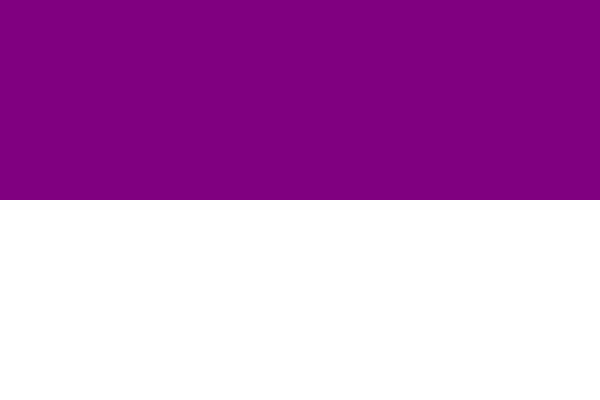 Rajpipla (Princely State) flag